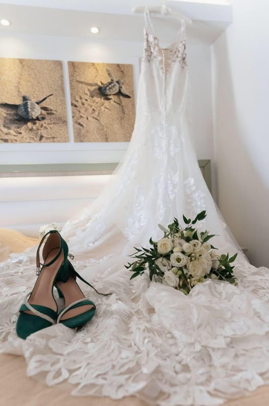 586413853_1447155337415295_506430331655821453_n